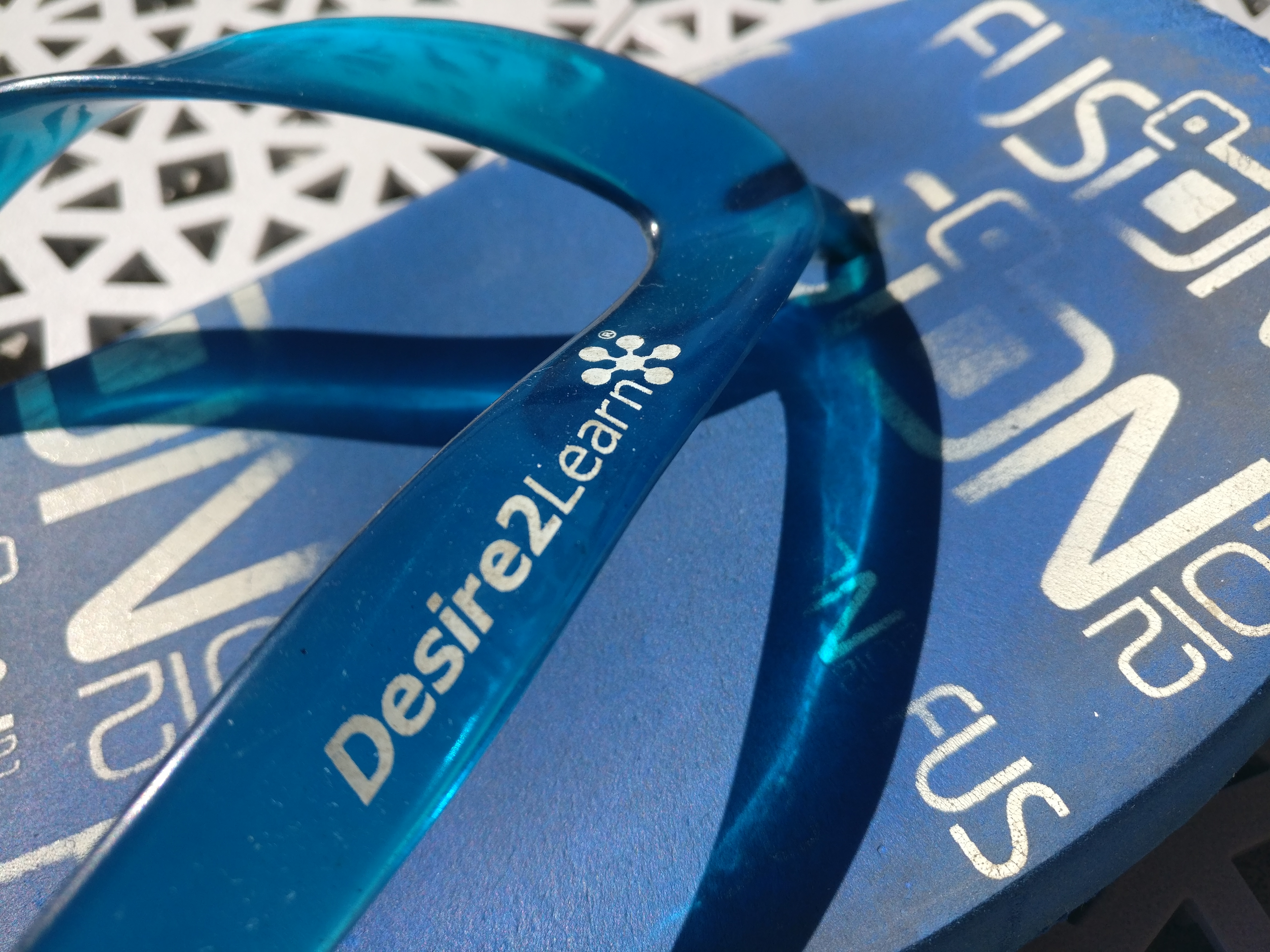 A photo of a flip-flop with the old Desire2Learn logo on the strap