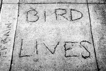 A photo of sidewalk graffiti, proclaiming 'BIRD LIVES'